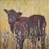Harris, TK  title: The Calf