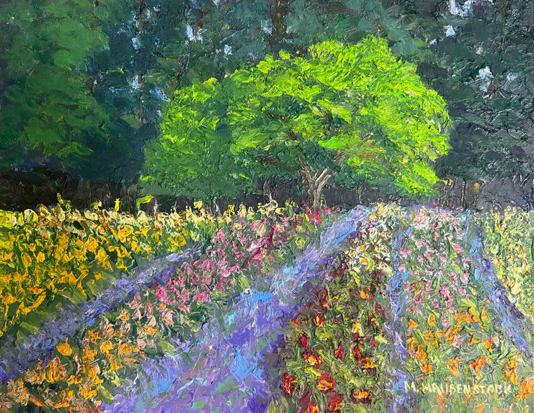Mike Haubenstock Title: Day Lily Field
