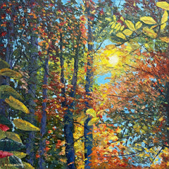 Haubenstock, Mike  title: Ember Canopy