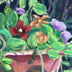 Haubenstock, Mike title: Flower Pots