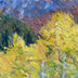 Haubenstock, Mike  title: The Last Gold of Fall