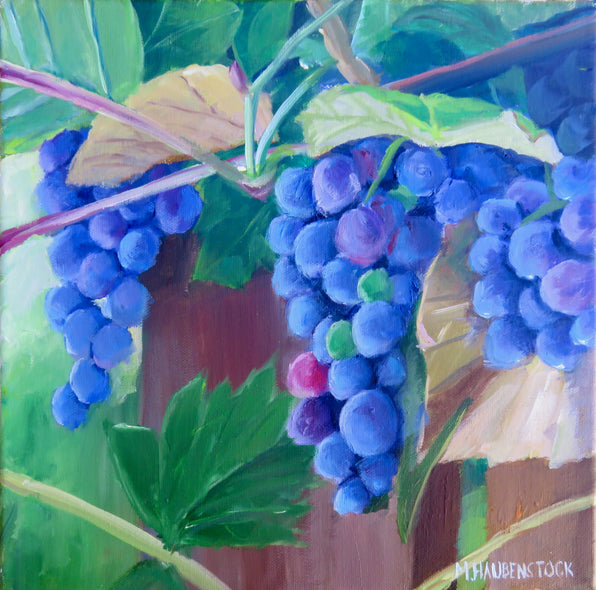 Mike Haubenstock Title: Pinot Grapes