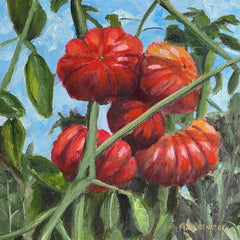 Mike Haubenstock Title: Tomatoes on the Vine