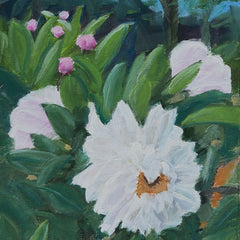 Mike Haubenstock Title: White Peony