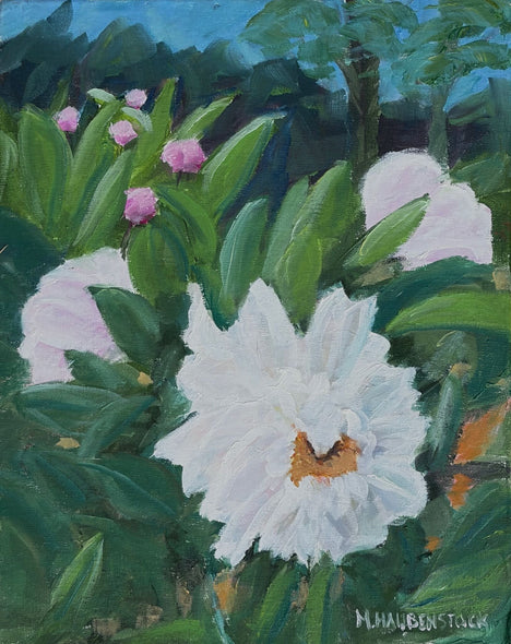 Mike Haubenstock Title: White Peony