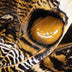 Hennessy, Tom  title: Butterfly Wing