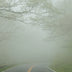 Hennessy, Tom Title: Fog on Skyline Drive