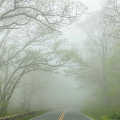 Hennessy, Tom Title: Fog on Skyline Drive