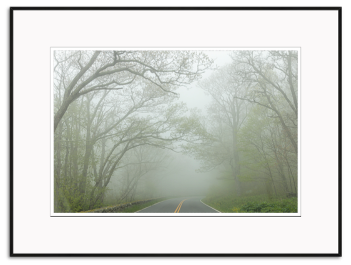 Hennessy, Tom Title: Fog on Skyline Drive
