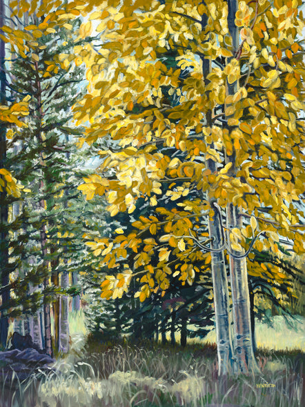 Henrietta Beightol Title: Sunlit Splendor