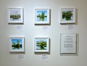 Linda Hollett-Bazouzi Title: View 3 of Black Bird Island