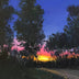 Hollett-Bazouzi, Linda Title: Early Morning Sunrise