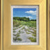 Hollett-Bazouzi, Linda  title: Path with Queen Anne's Lace VII