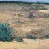 Hollett-Bazouzi, LInda title: Sahara Twilight East (Tunisia)