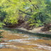 Hollett-Bazouzi, Linda Title: Spring on Swift Creek