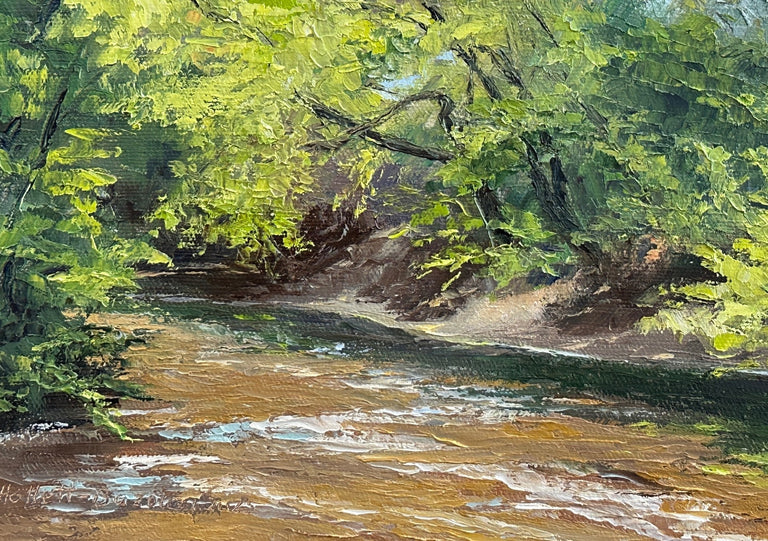 Hollett-Bazouzi, Linda Title: Spring on Swift Creek
