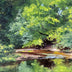 Hollett-Bazouzi, Linda Title: Summer Morning on Swift Creek I (Study)