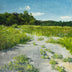 Linda Hollett-Bazouzi Title: Path with Queen Anne's Lace VI