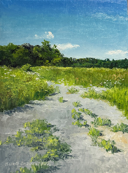 Linda Hollett-Bazouzi Title: Path with Queen Anne's Lace VI