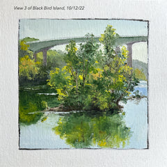 Linda Hollett-Bazouzi, Title: Views of Black Bird Island