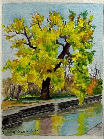 Linda Hollett-Bazouzi Title: Tree on Kanawha Canal/Chapel Island Park II