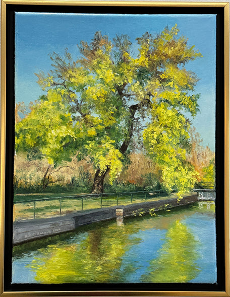 Linda Hollett-Bazouzi Title: Tree on Kanawha Canal/Chapel Island Park