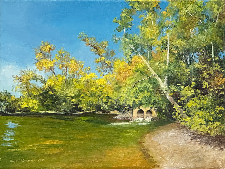 Linda Hollett-Bazouzi Title: Overflow to the James River from Kanawha Canal