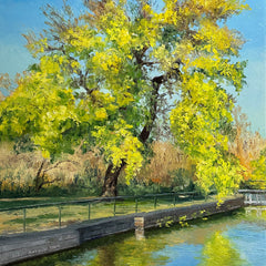 Hollett-Bazouzi, Linda Title: Tree on Kanawha Canal, Chapel Island