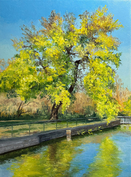 Hollett-Bazouzi, Linda Title: Tree on Kanawha Canal, Chapel Island