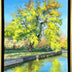 Hollett-Bazouzi, Linda Title: Tree on Kanawha Canal, Chapel Island