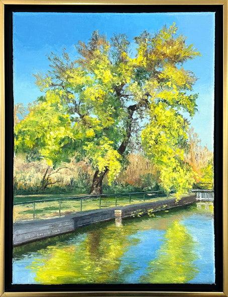 Hollett-Bazouzi, Linda Title: Tree on Kanawha Canal, Chapel Island