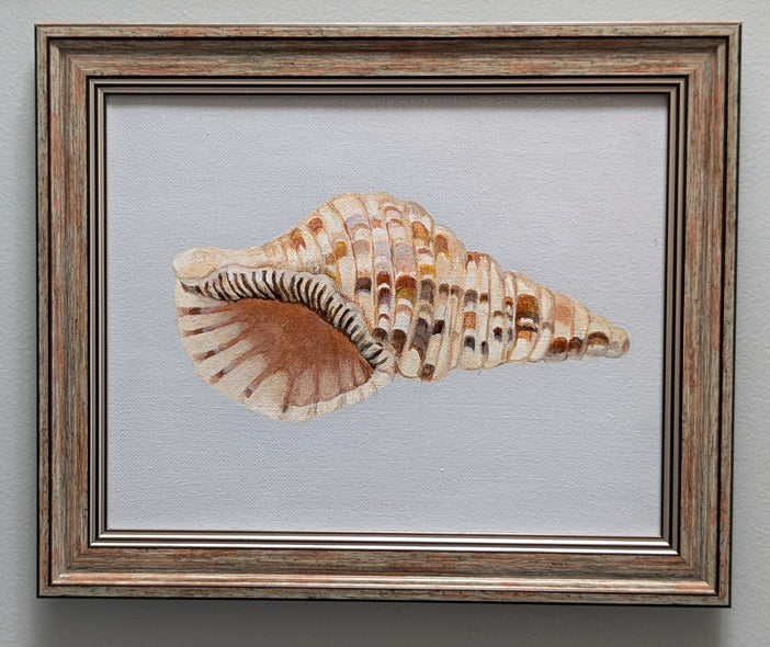 Hutchings, Cheryll Title: Coiled Serenity