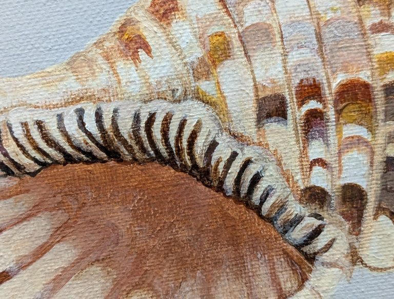 Hutchings, Cheryll Title: Coiled Serenity