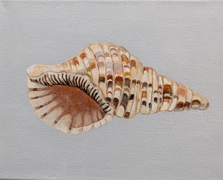 Hutchings, Cheryll Title: Coiled Serenity