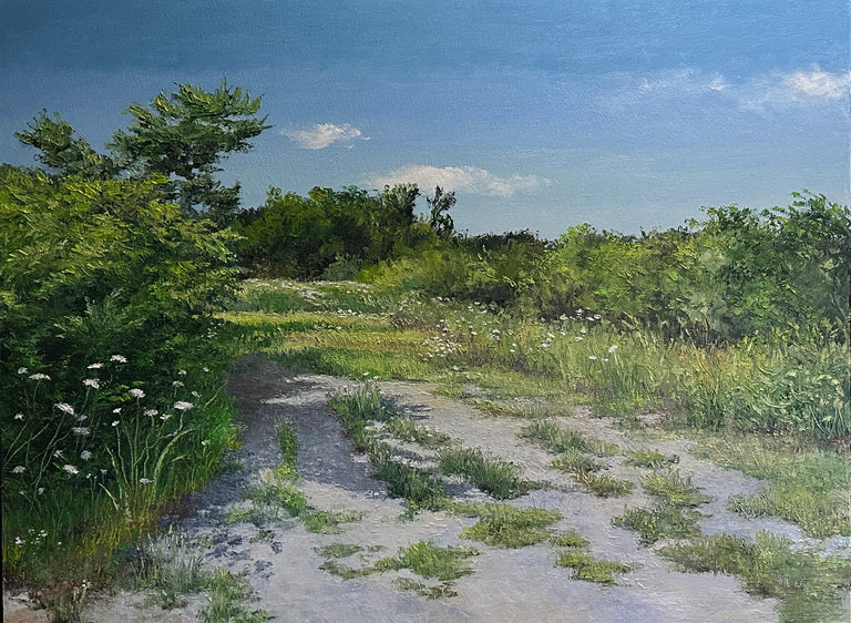 Linda Hollett-Bazouzi Title: Path with Queen Anne's Lace X