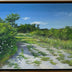 Linda Hollett-Bazouzi Title: Path with Queen Anne's Lace X