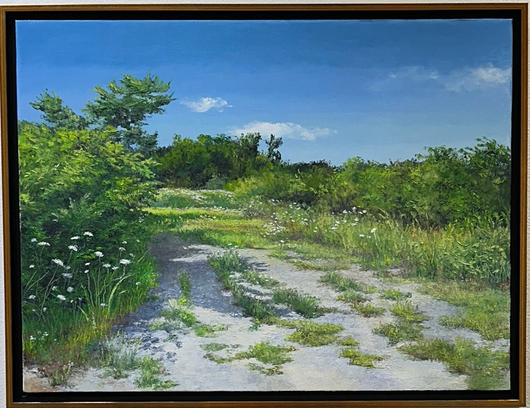 Linda Hollett-Bazouzi Title: Path with Queen Anne's Lace X