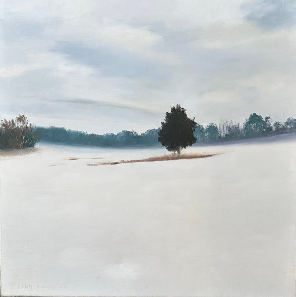 Hollett-Bazouzi, Linda Title: White Field 2
