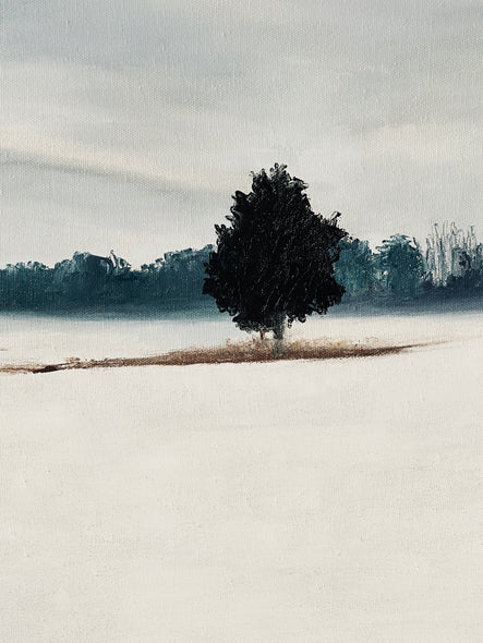 Hollett-Bazouzi, Linda Title: White Field 2
