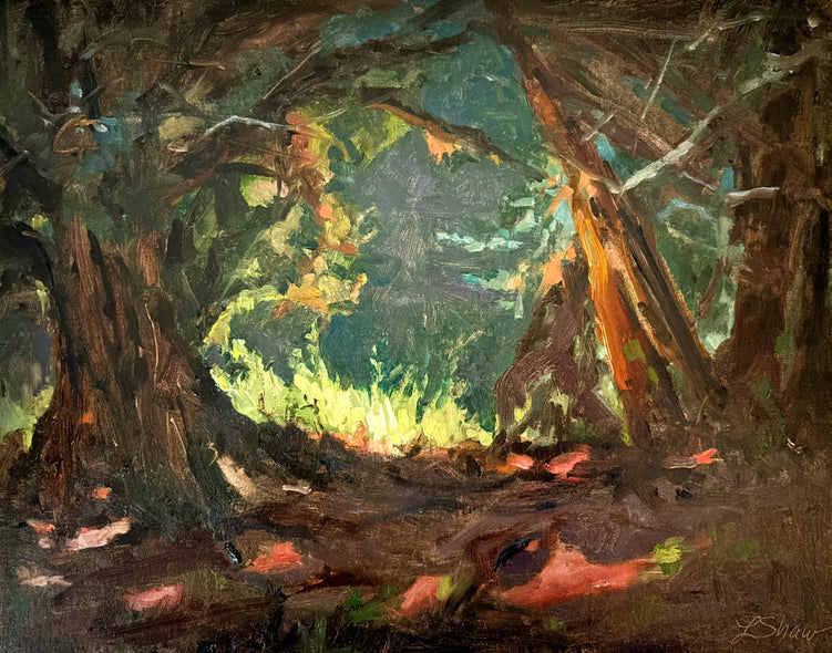Shaw, Linda Title: Into The Woods At Maymont