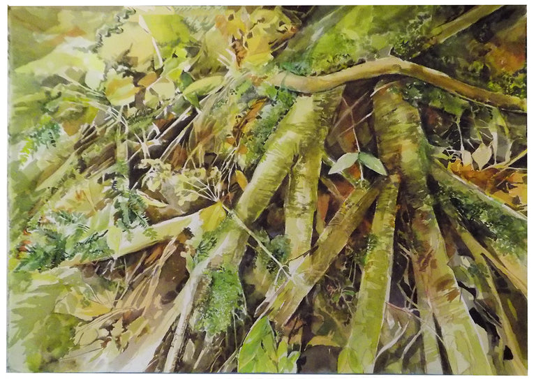 Jane Skafte Title: Tree roots