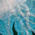 Jacobi, Donna title: Jellyfish