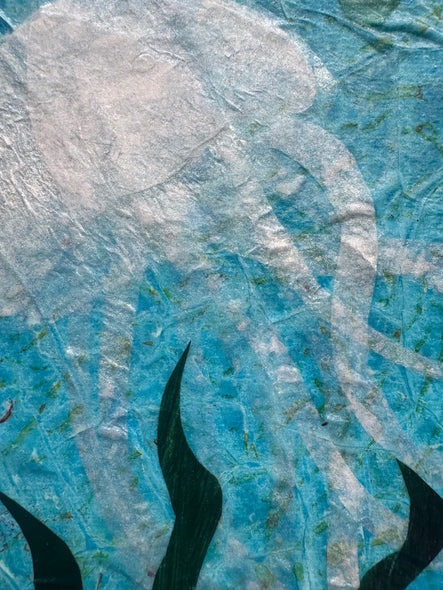 Jacobi, Donna title: Jellyfish