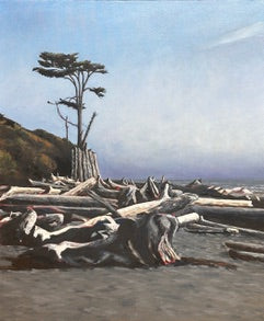 James Freund Title: The Sentinel