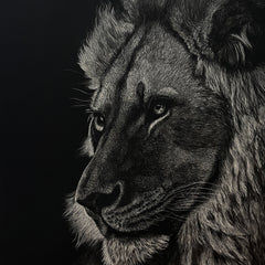 Jan Priddy Title: Embrace the Power