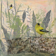 Jinx Constine Title: The Beauty of Change, American Goldfinch