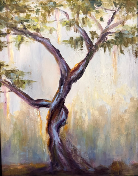 Jorie Wiley Title: Luminescent Live Oak in Low County