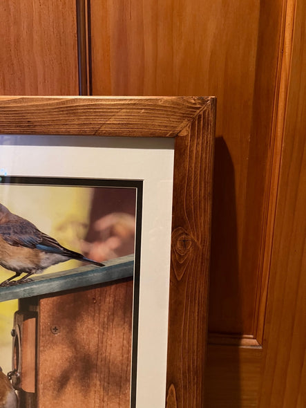 Jovanelly, Kim Title: House Hunting