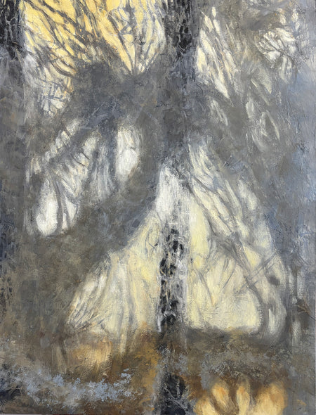 Judith Anderson Title: Wall & Shadows #3