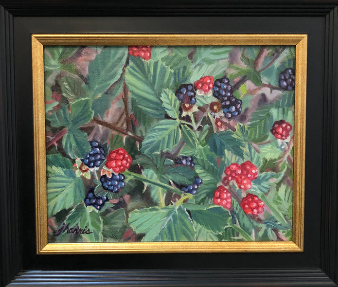 Judy Harris Title: Pick Me!